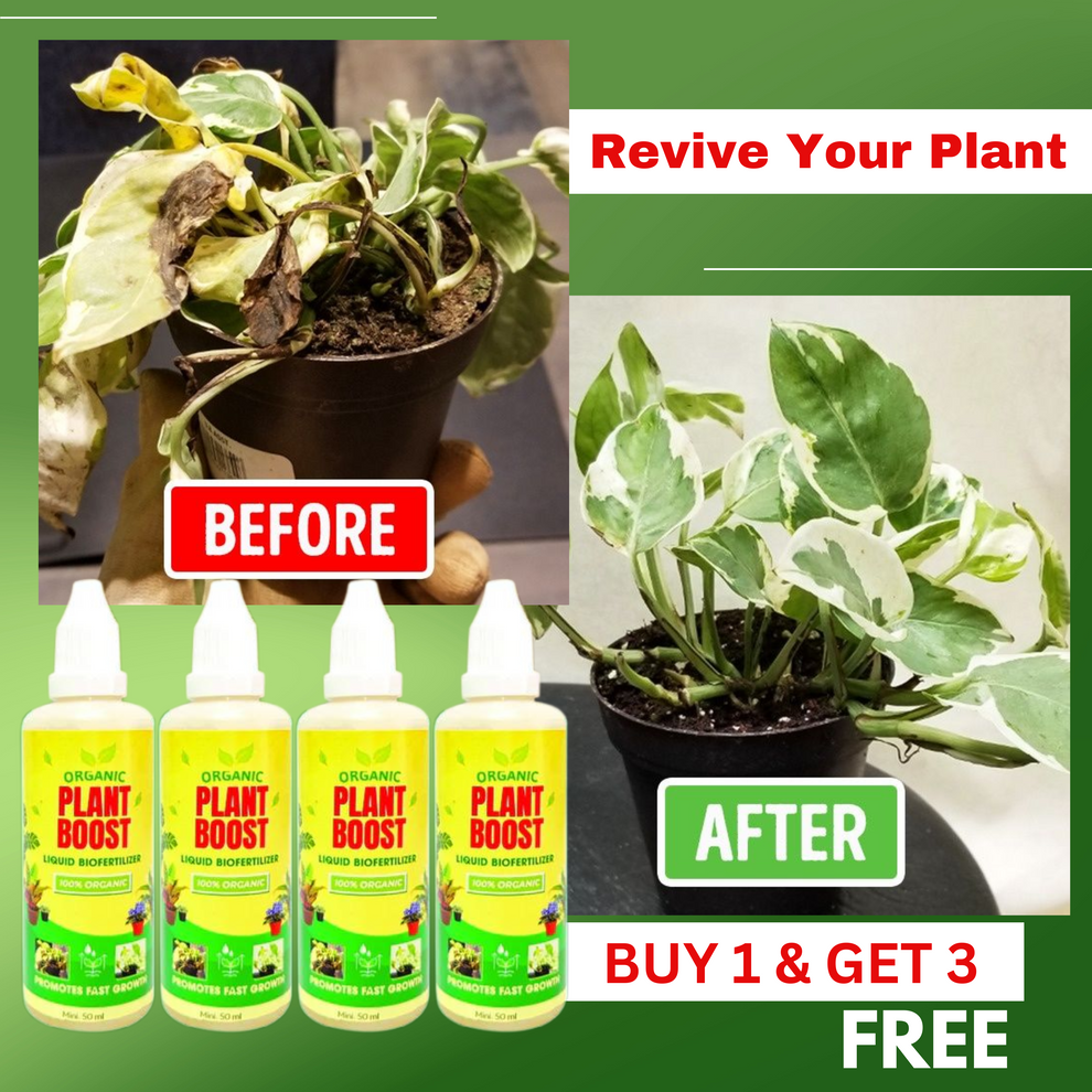BIOPLANT™ Plant Boost Liquid Biofertilizer for All Crops,Organic (BUY 1 GET 3 FREE) (PACK OF 4)