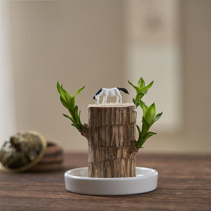 Lucky Wood Plant | ⭐️⭐️⭐️⭐️ 4.9/5 Reviews | 🔥 [BUY 1 GET 1 FREE]
