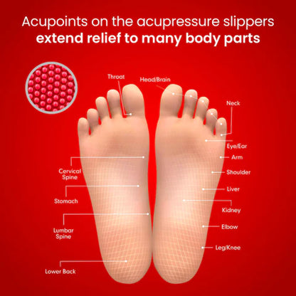 Acupressure and Magnetic Therapy Paduka Slippers for Full Body Blood Circulation Yoga Paduka Acupressure Foot Relaxer For Men and Women